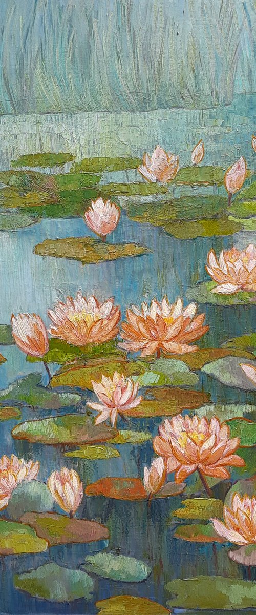 Lily Pond by Svetlana Norel