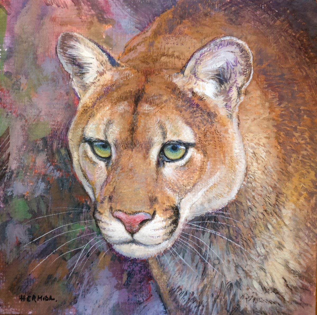 Cougar by Gabriel Hermida