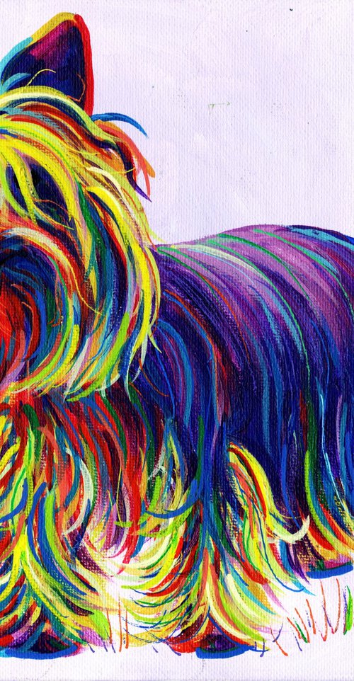 Rainbow Terrier by Tiffany Budd