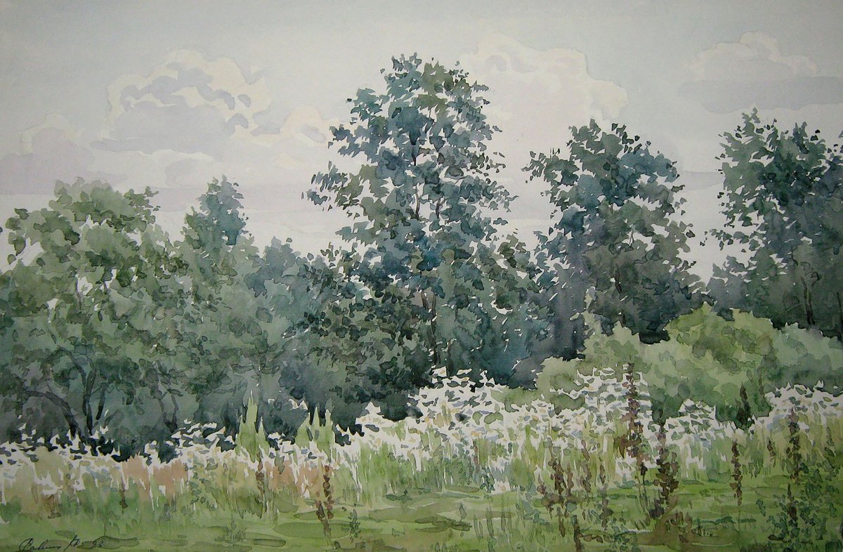 Impressionistic Landscape Watercolour By Valeriy Savenets-1, 19 X 12", Dense Forest, Original Artwork