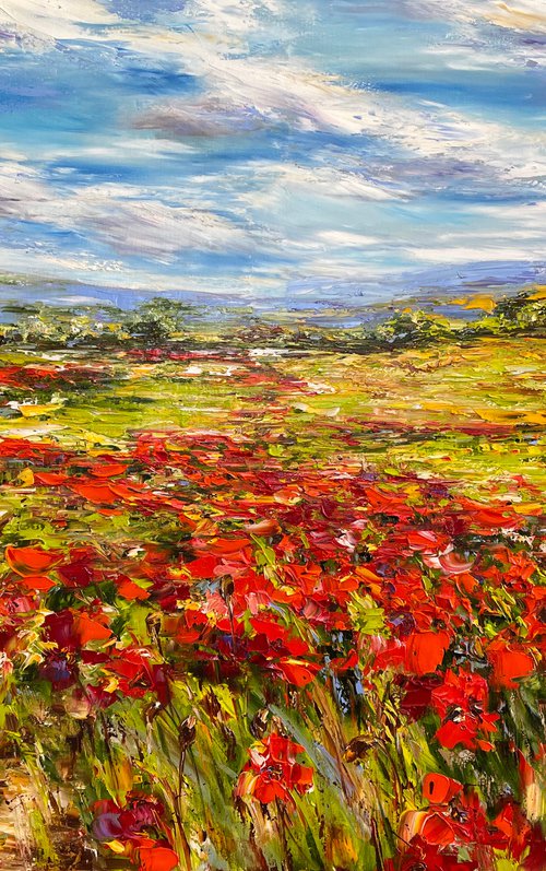 Poppies by Diana Malivani