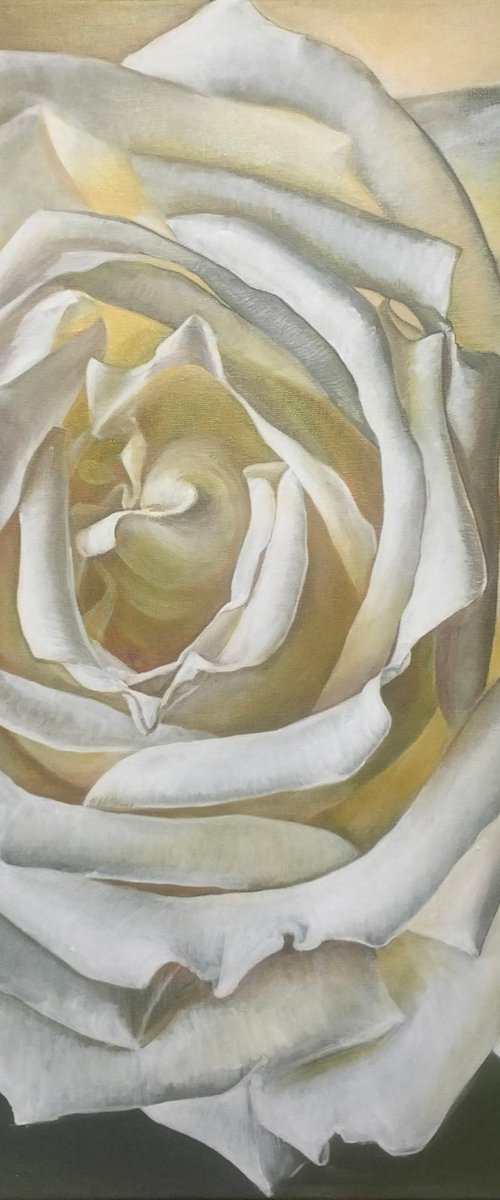 Perfection by Irina Dmitrieva