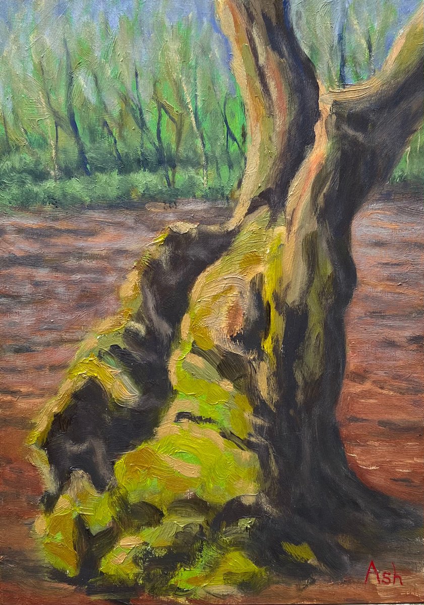 Exploring Hayley Wood By Ashley Baldwin-Smith, 8 X 12, Artwork For Sale On Artfinder