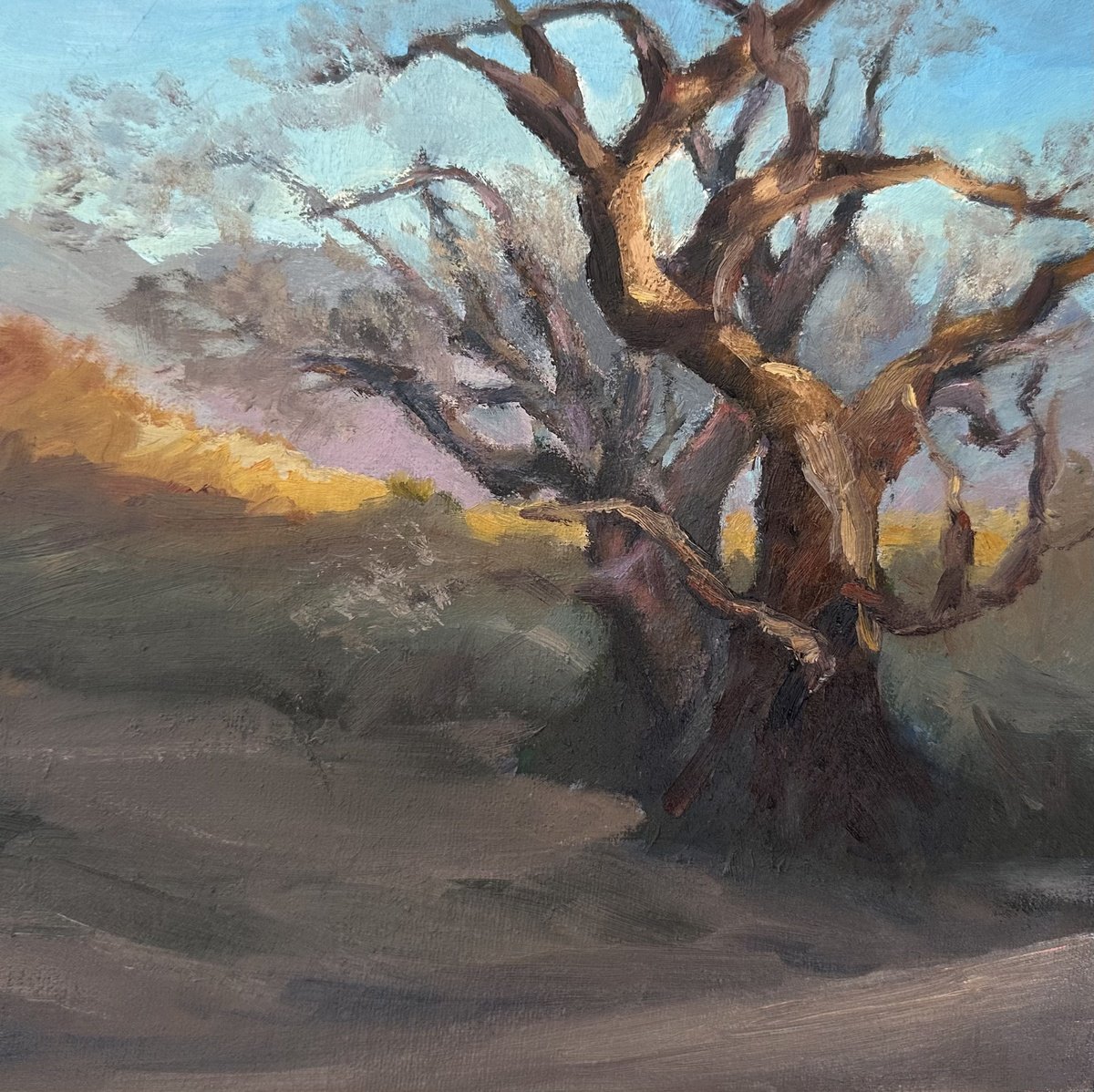 Impressionistic Botanical Oil Painting By Grace Diehl, 8 X 8, Luminary Remains, Original Artwork