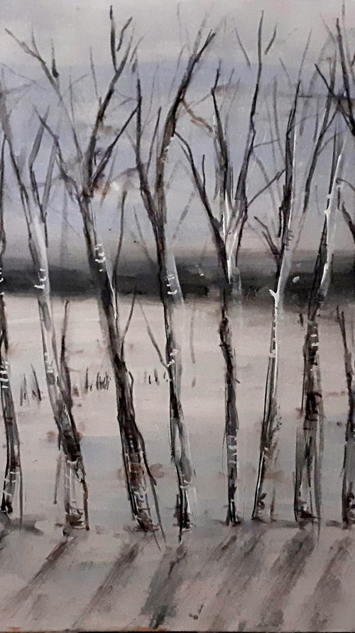 Row of trees in snowy landscape by Nektaria Giannoulakou