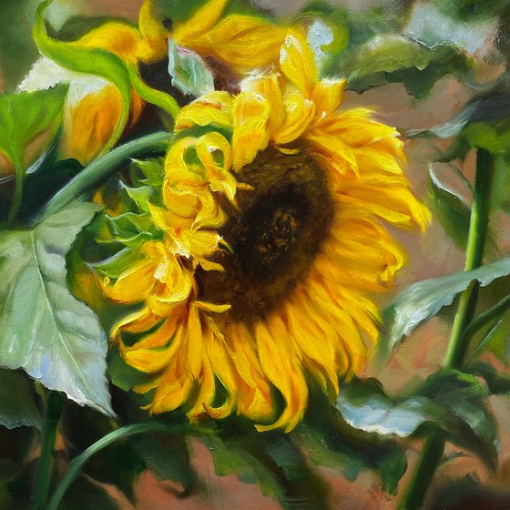 Sunflower