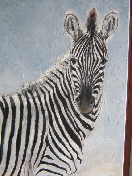 White-to-Black Zebras