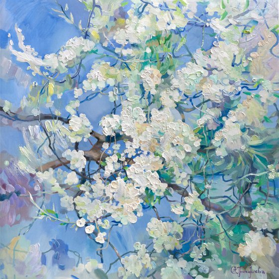 White Miracle of Spring