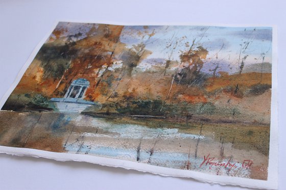 Whispers of the Stadtwald Rain