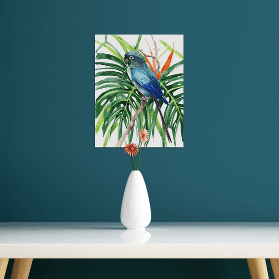 Turquoise Conure Parakeet, Parrot painting