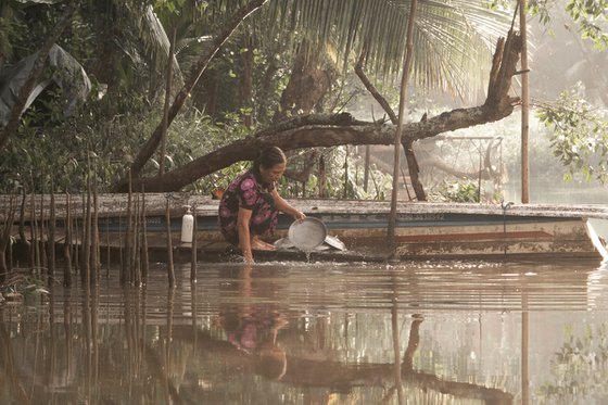 Tropical Backwaters