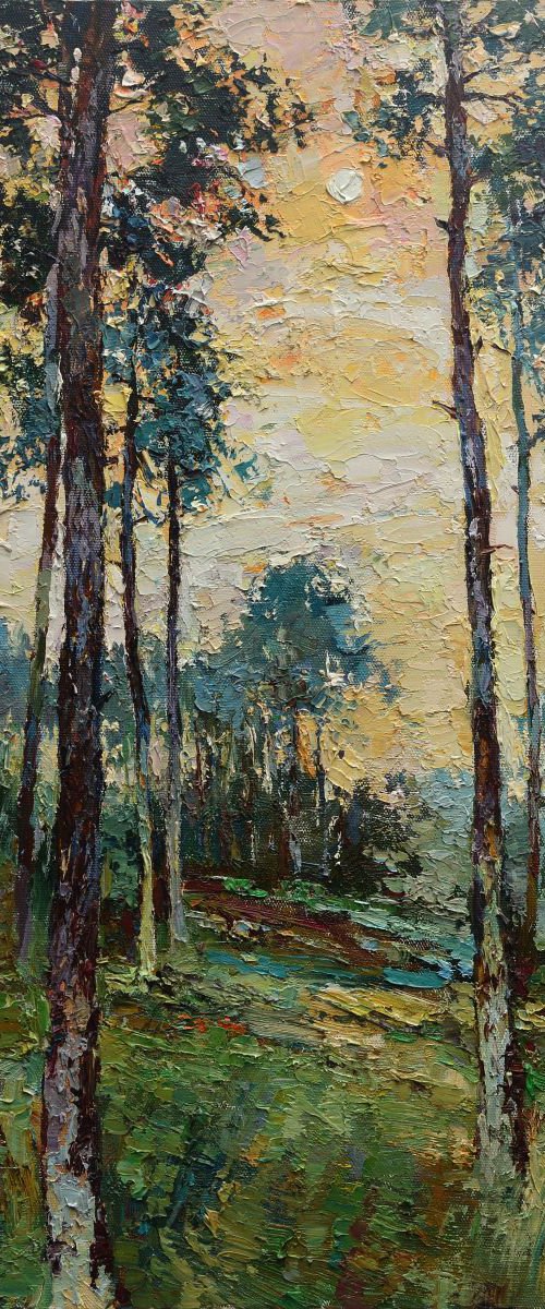 Forest landscape at sunset by Anastasiia Valiulina