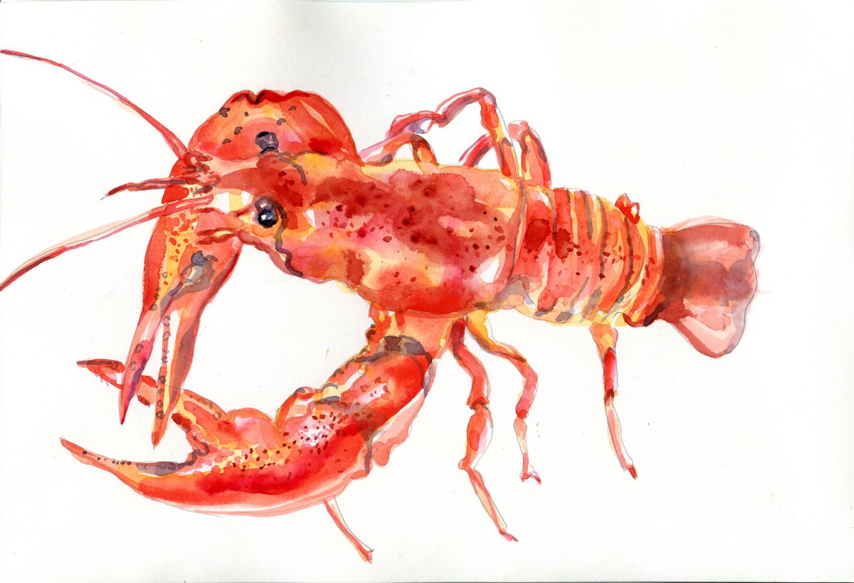 Crayfish by Hannah Clark