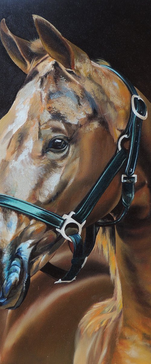 Brown horse by Kakajan Charyyev