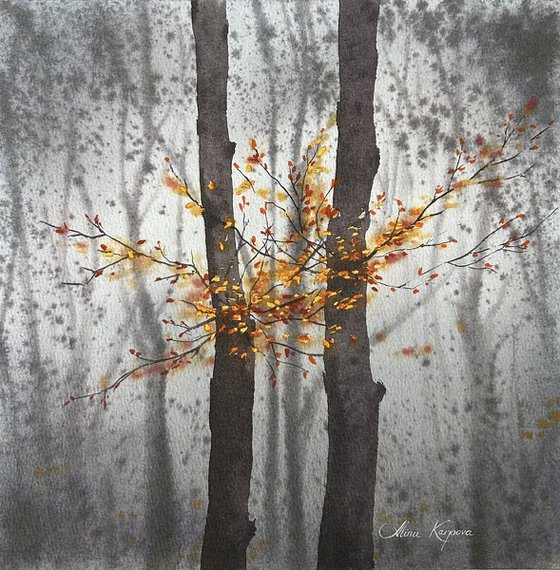 Misty forest