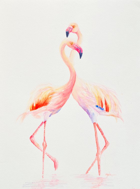 A pair of Flamingos