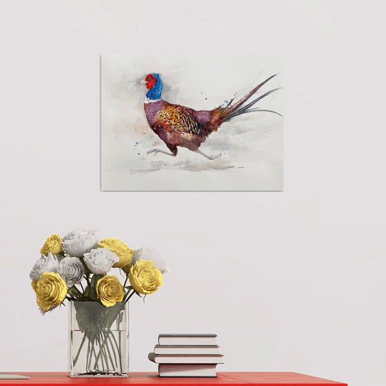 Rustle and Run_Pheasant