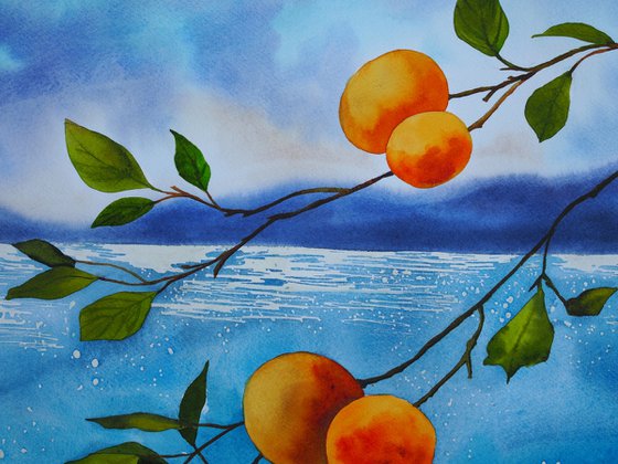 Mediterranean