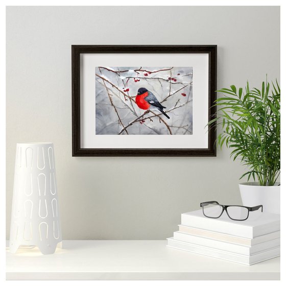 Bullfinch and Berries - xmas gift - christmas gift - wild bird