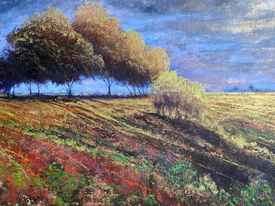 Southfield Copse