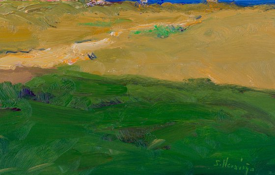 Pink House on the Beach