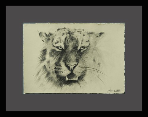 Tiger by Valerija Popova