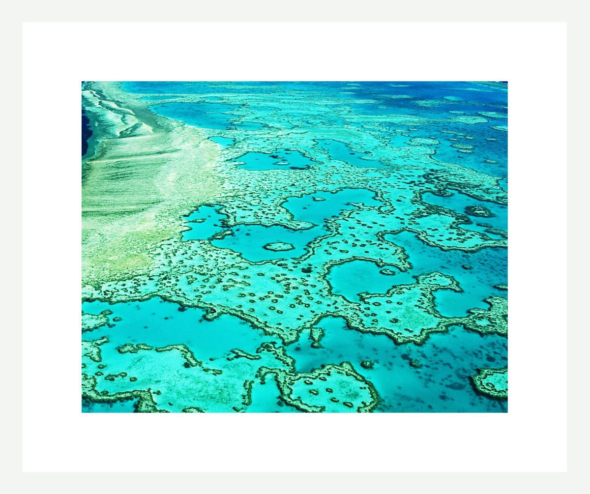 Natural Abstracts - The Great Barrier Reef number 1 by Ken Skehan