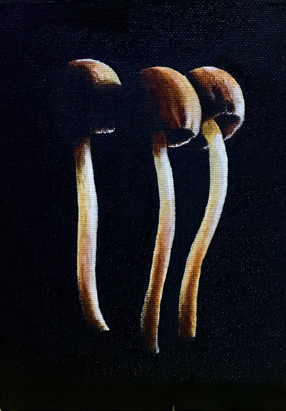 Mushrooms