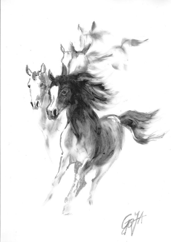 FREEDOM - RUNNING HORSES
