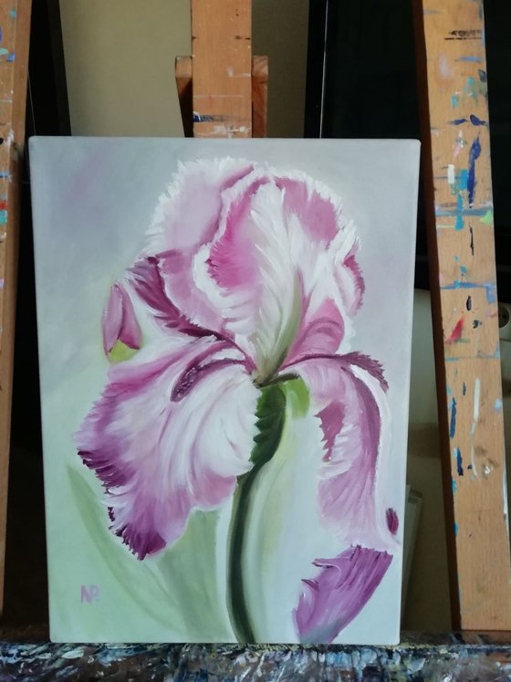Iris, original flower art, canvas oil painting, gift idea, wall decor for home