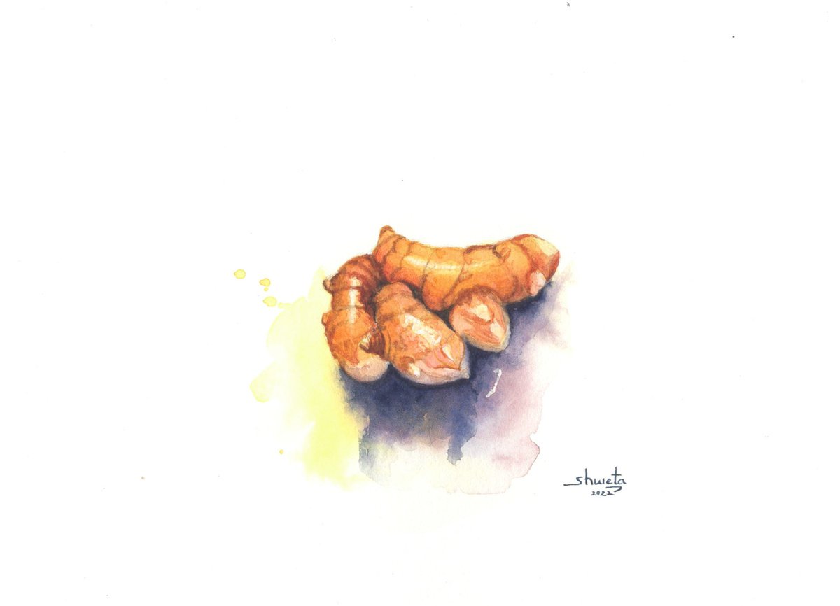 Yellow Turmeric Root Watercolor Painting by Shweta  Mahajan