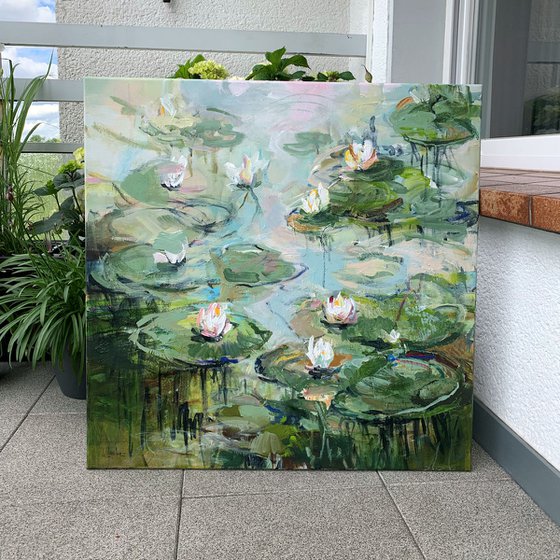 Water lilies