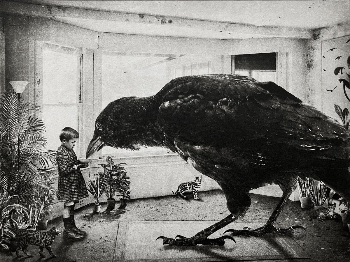 Surrealistic Animal Etchings & Engravings By Jaco Putker, 10 X 13, Interior No.138, Original Artwork