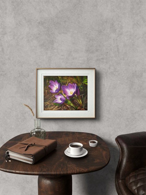 Purple Crocus Flowers