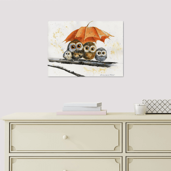 Owl Umbrella Haven