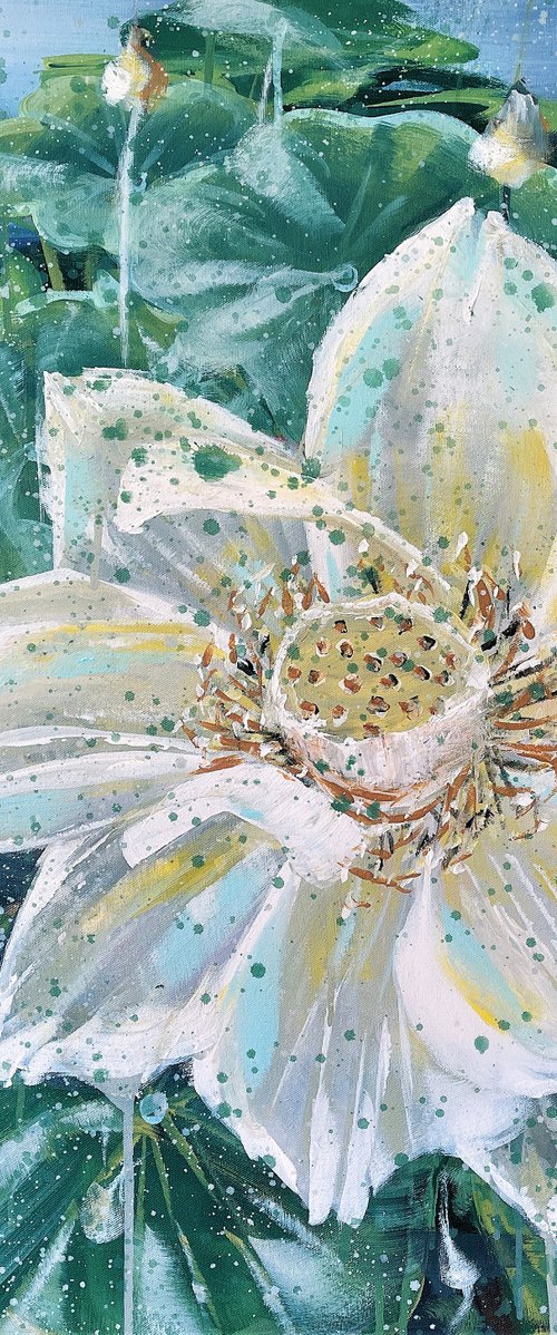 Be Here And Now - White Lotus Flowers in a Pond By HSIN LIN by HSIN LIN