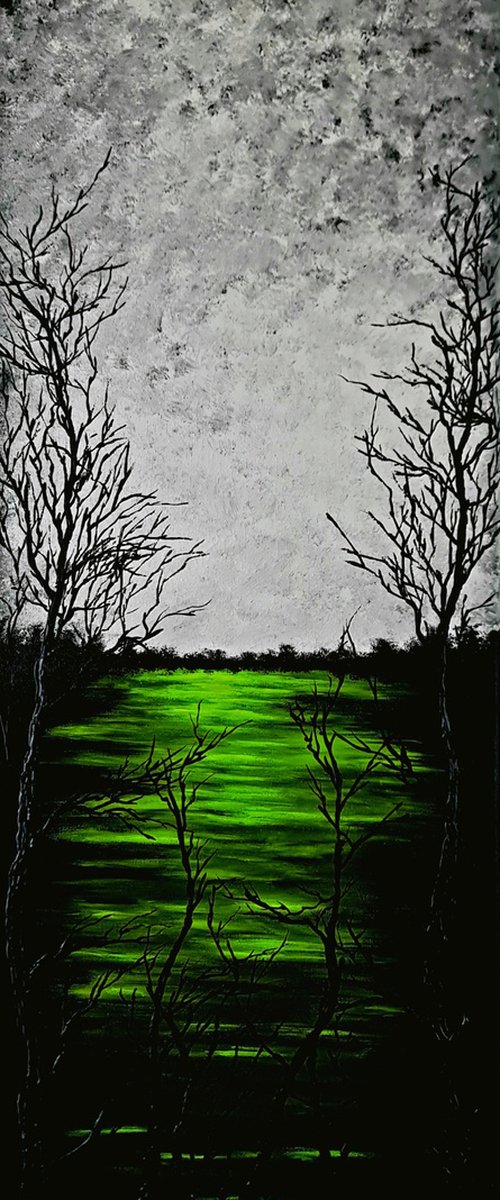 Green lake 1 by Daniel Urbaník