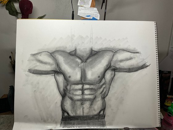 Male torso study 18x24