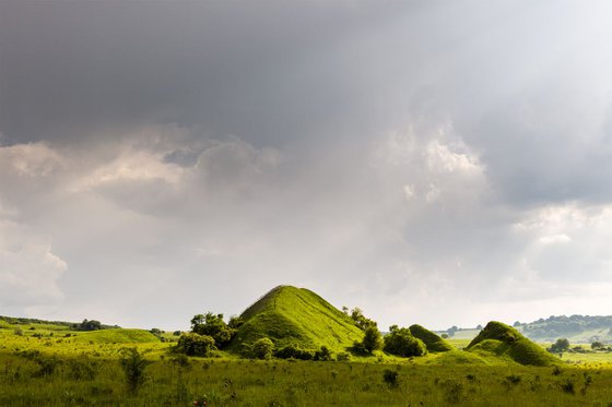 Lush mounds in Transylvania
