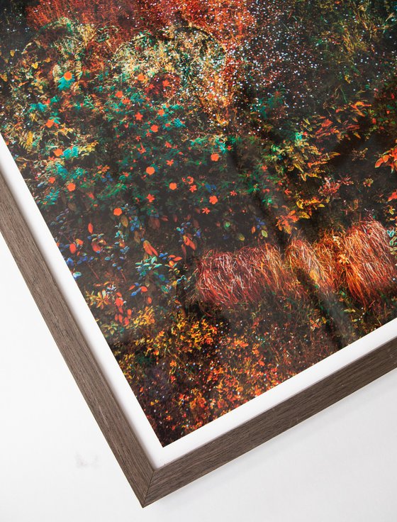 Wall of Nature LXVII (Framed)