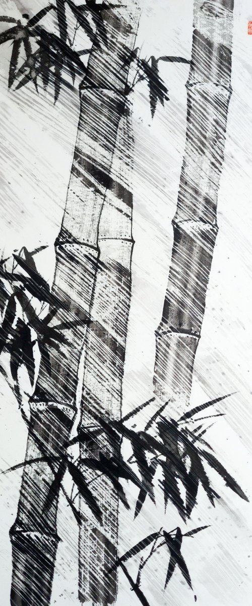 Bamboo in storm by Ilana Shechter