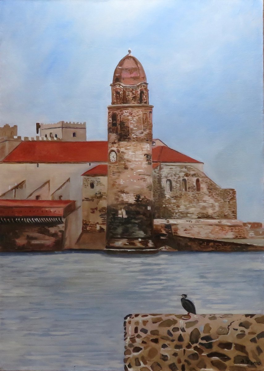 The cormorant of Collioure by Anne Zamo