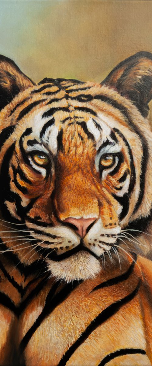 Majestic Gaze by Norma Beatriz Zaro