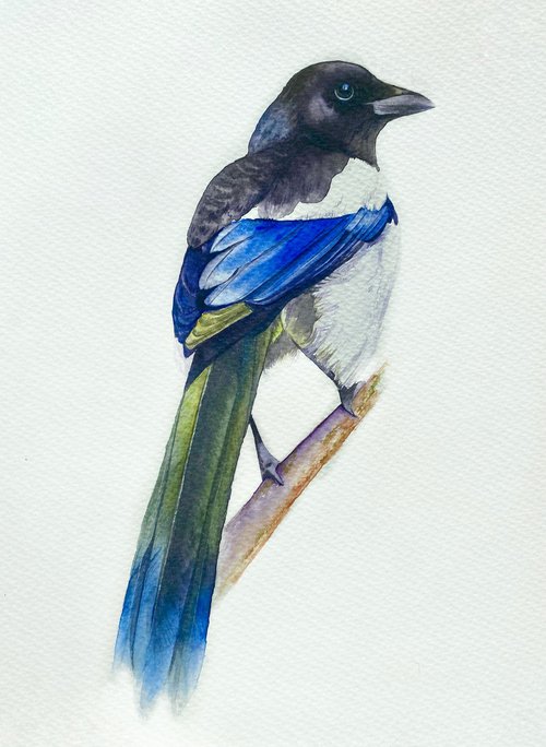 Watercolour bird magpie sitting on a branch in the rays of the sun 4 by Tetiana Savchenko