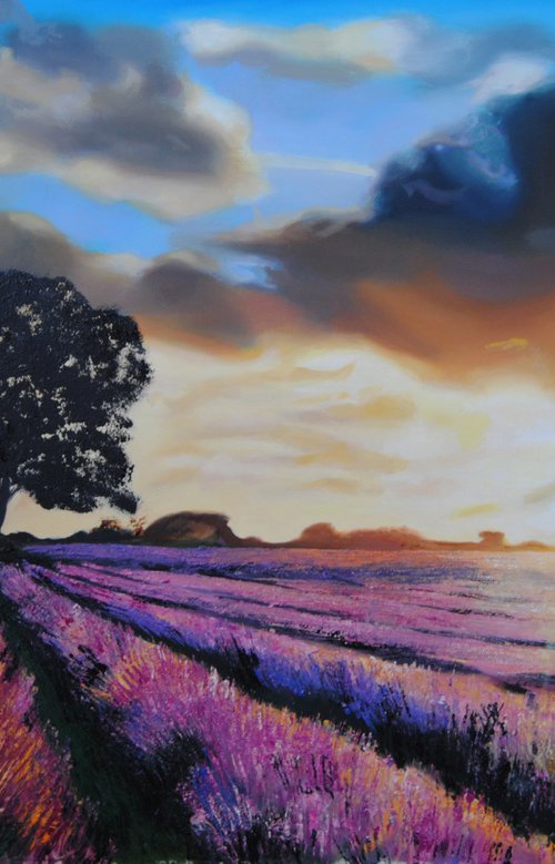 Lavender field by Simona Tsvetkova