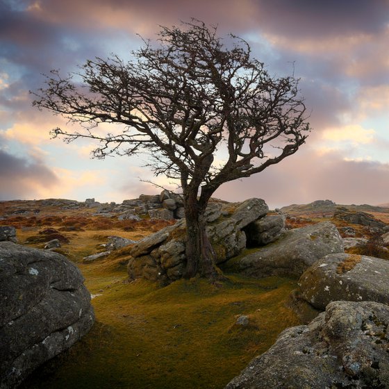 Saddle Tor