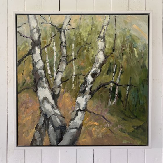 Birch Forest 1