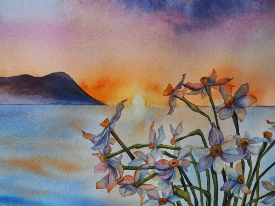 Narcissus on sunset