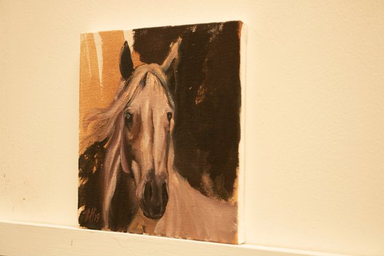 Equine Head Arab White (study 3)