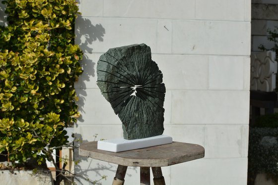 "Brilliance of Mind"